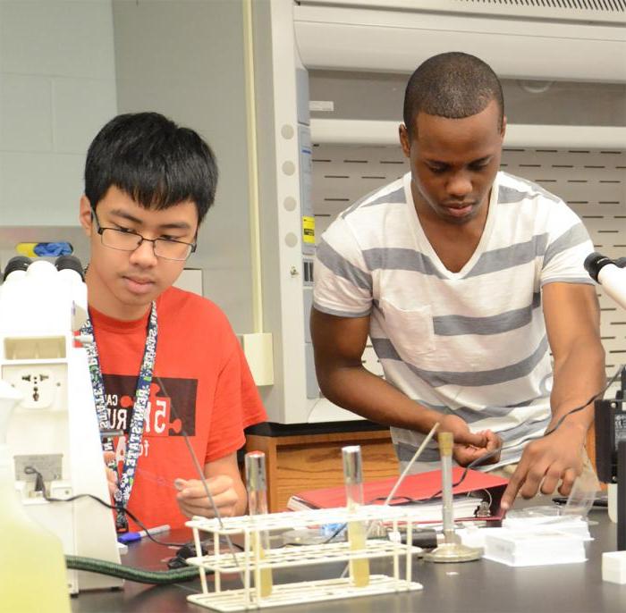 学生们在校园里的科学实验室工作
